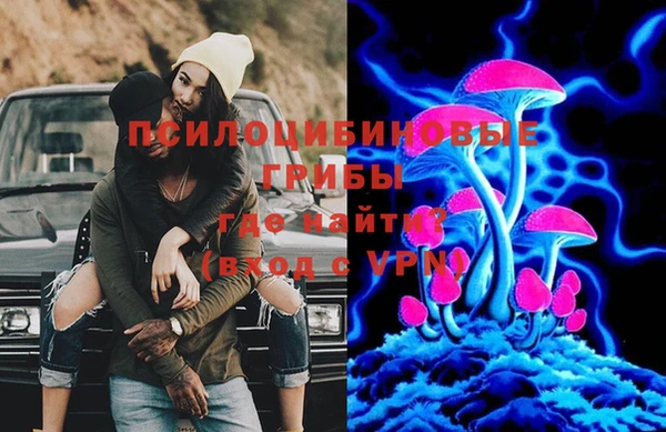 мяу мяу мука Алзамай