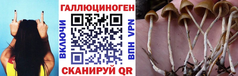 Псилоцибиновые грибы прущие грибы где купить даркнет клад Белгород