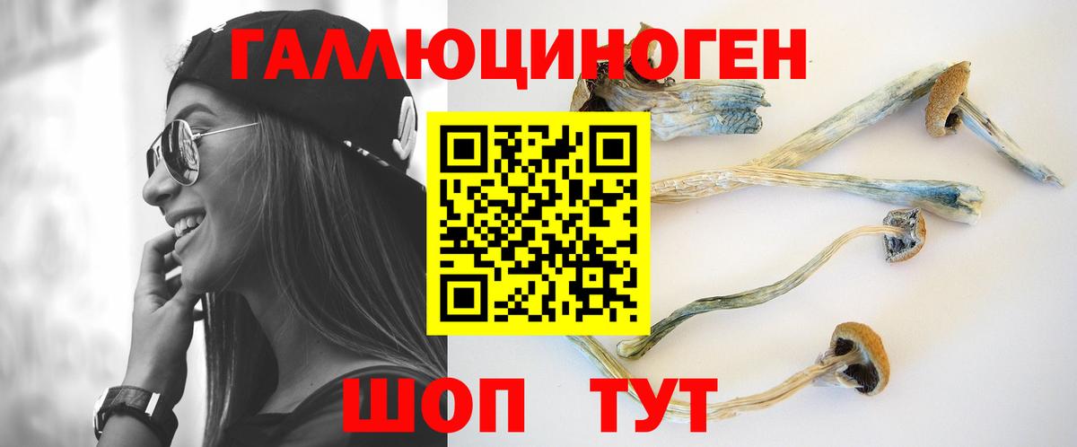 Псилоцибиновые грибы Magic Shrooms Белгород